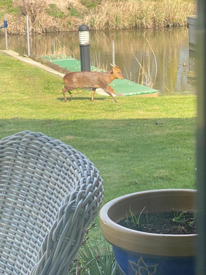 Otters End, Near Wroxham Apartment Dilham Luaran gambar
